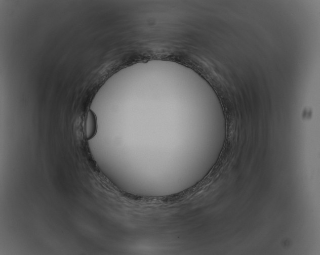 X0000096690866200802051035