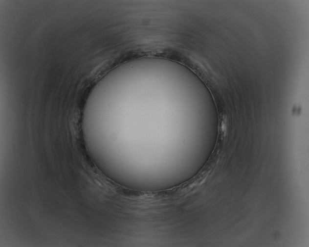 X0000096690867200802051035