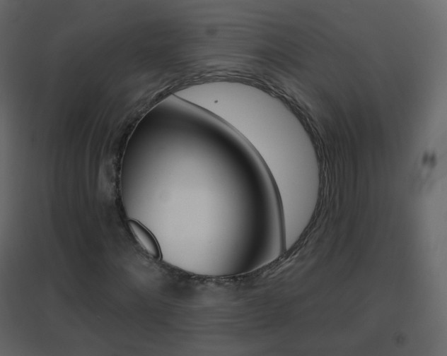 X0000096690868200802051035