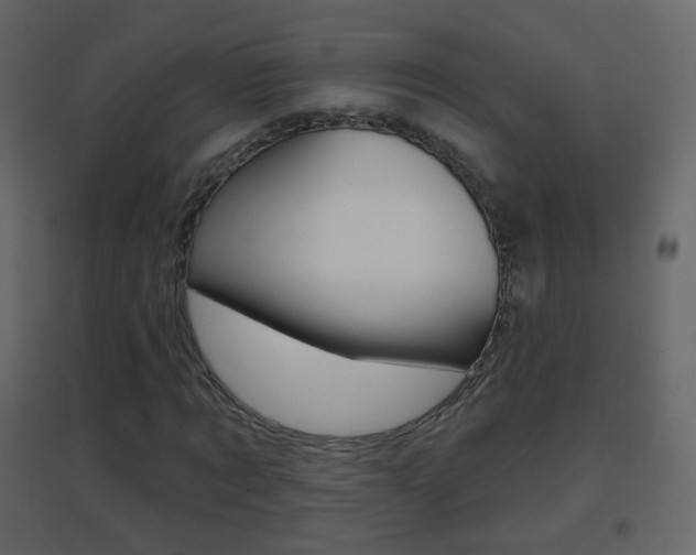 X0000096690869200802051035