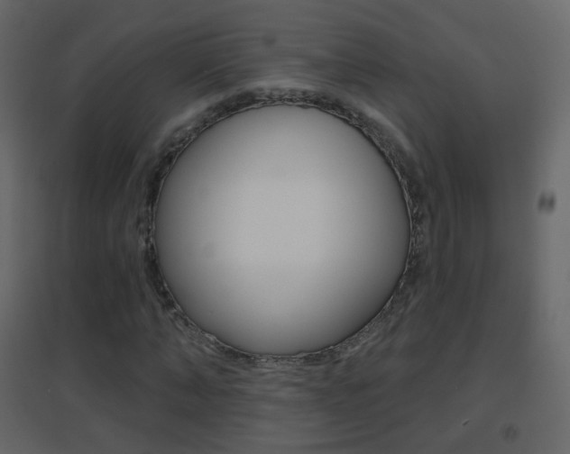 X0000096690870200802051035