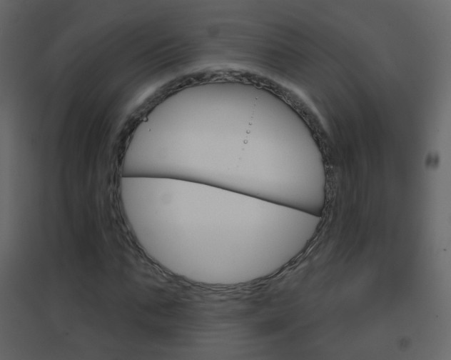 X0000096690871200802051035
