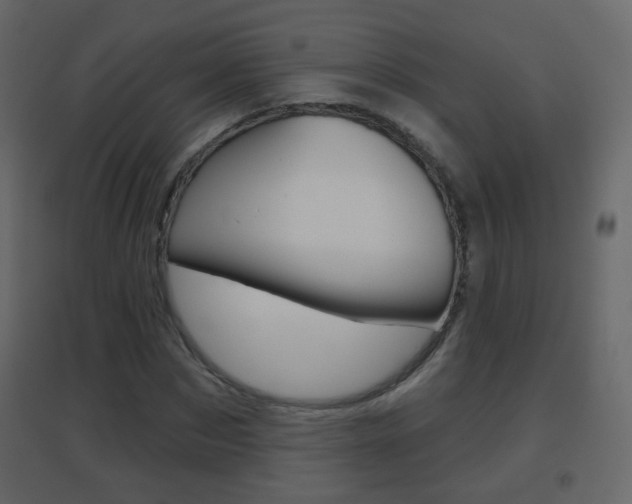X0000096690873200802051035