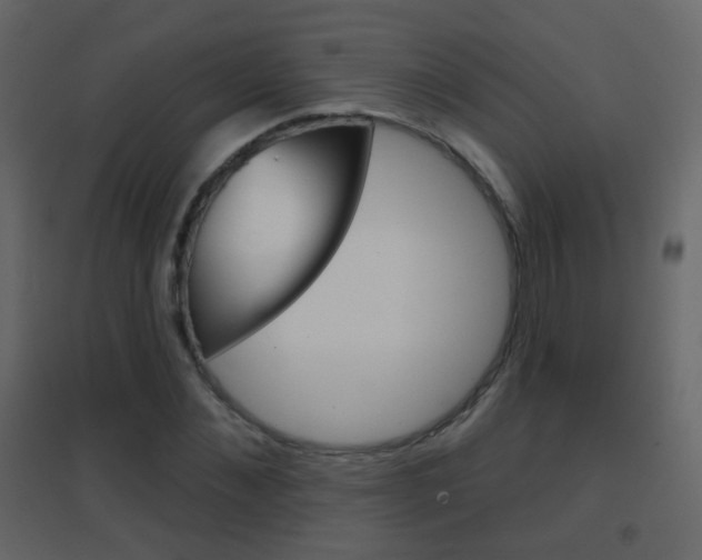 X0000096690876200802051035
