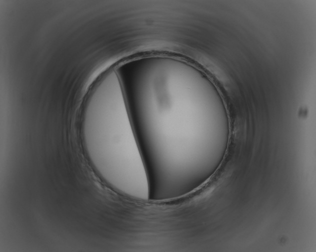 X0000096690877200802051035