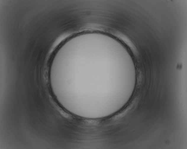 X0000096690878200802051035