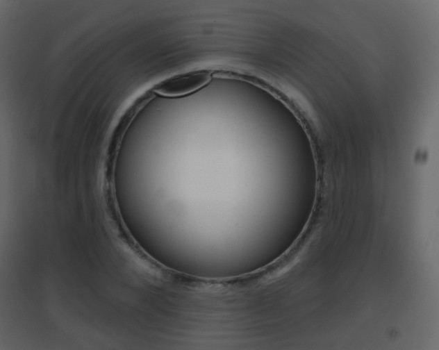X0000096690880200802051035