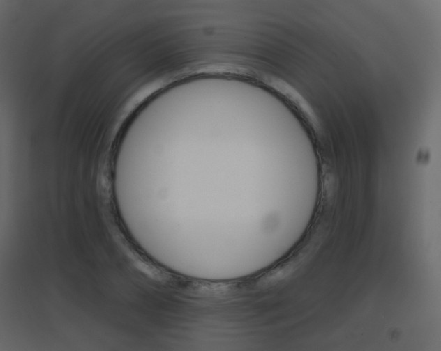 X0000096690882200802051035