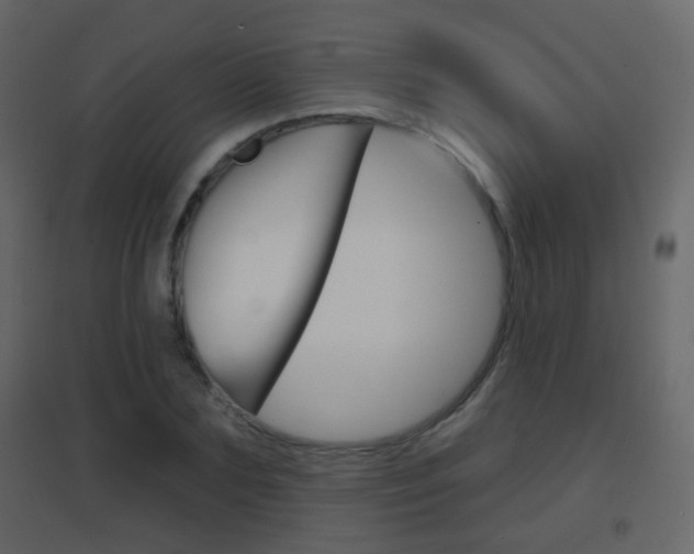 X0000096690883200802051034