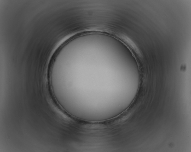 X0000096690884200802051034