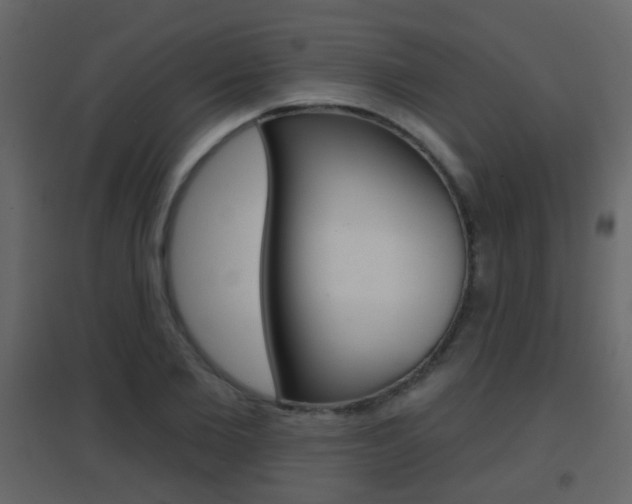 X0000096690885200802051034