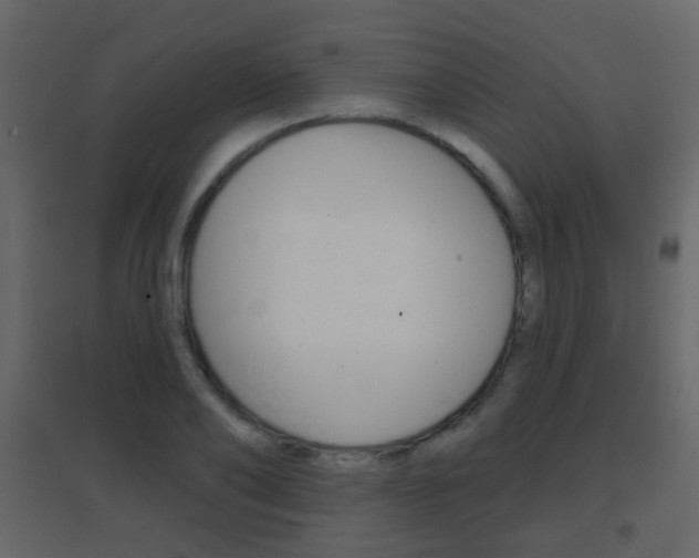 X0000096690886200802051034