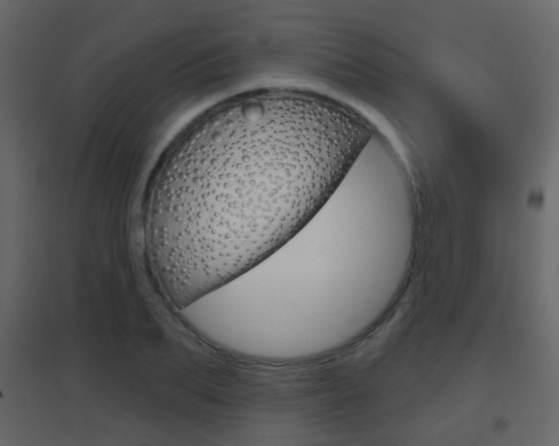 X0000096690887200802051034