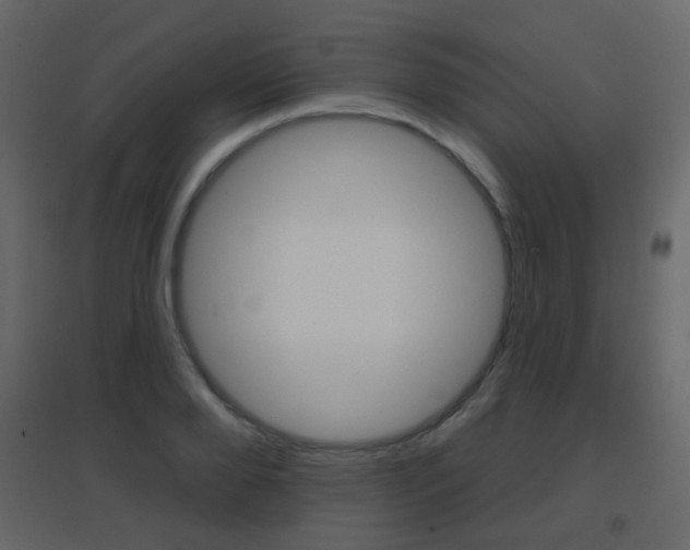 X0000096690888200802051034