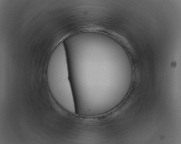 X0000096690889200802051034