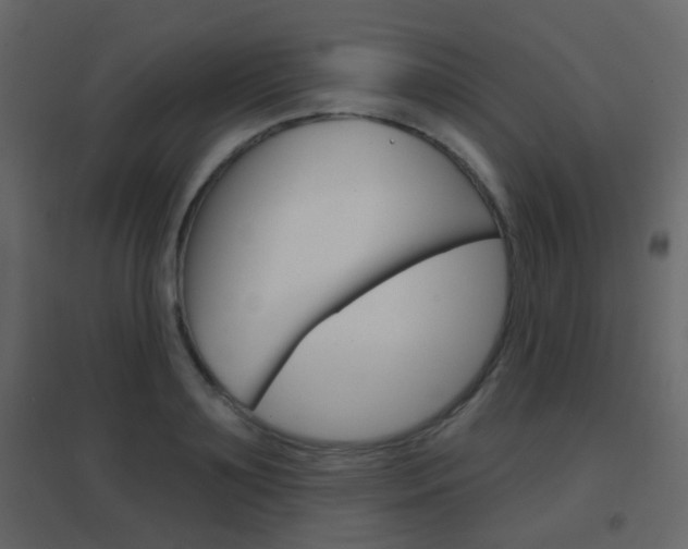 X0000096690891200802051034