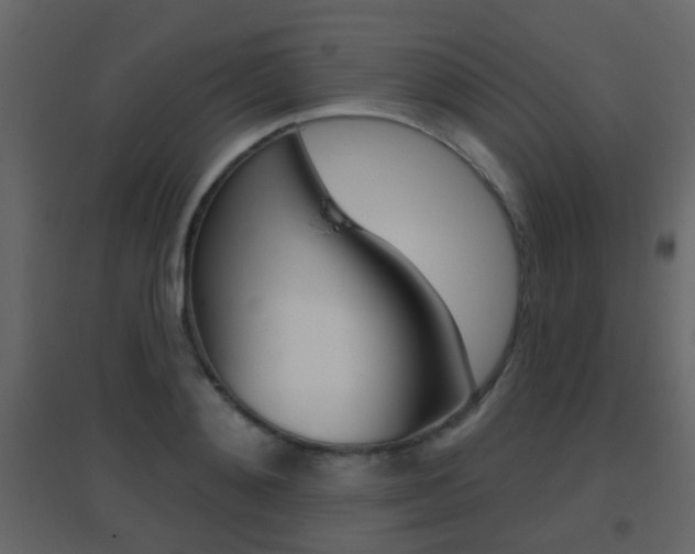 X0000096690892200802051034