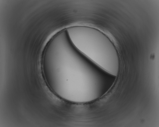 X0000096690896200802051034