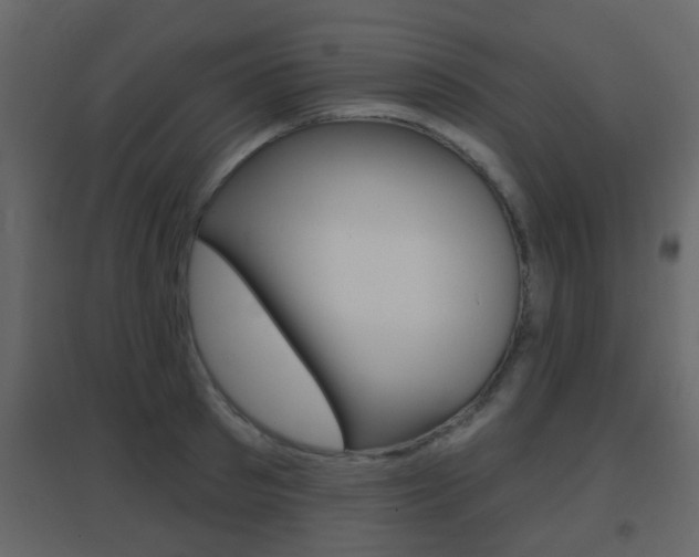 X0000096690897200802051034