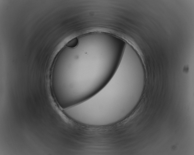 X0000096690898200802051034