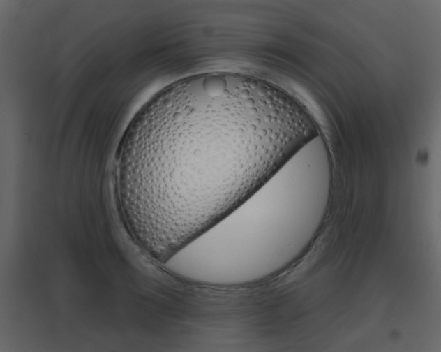 X0000096690899200802051034