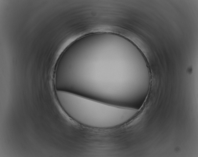 X0000096690901200802051034