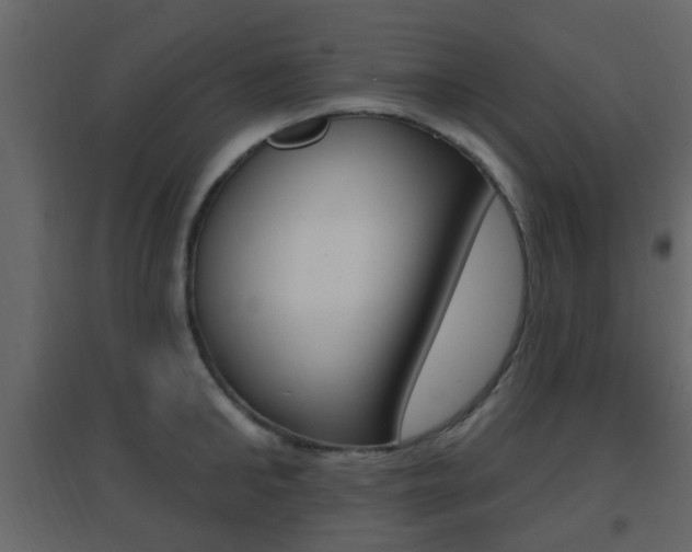 X0000096690902200802051034