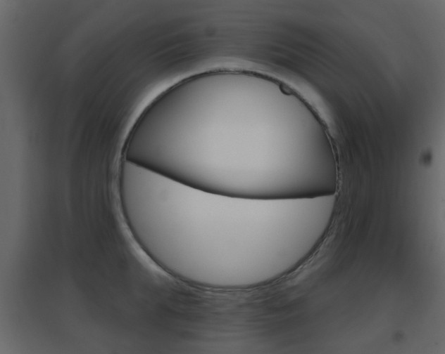 X0000096690903200802051034