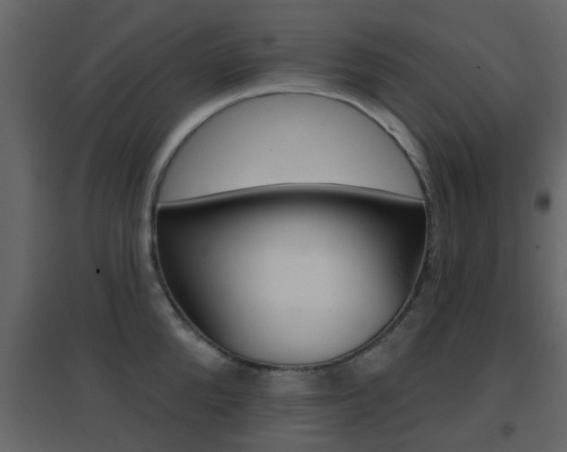X0000096690904200802051034
