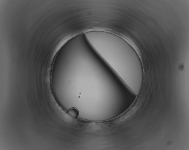 X0000096690906200802051034