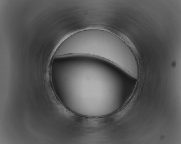 X0000096690908200802051034