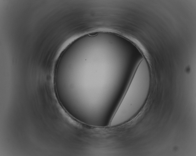 X0000096690910200802051034