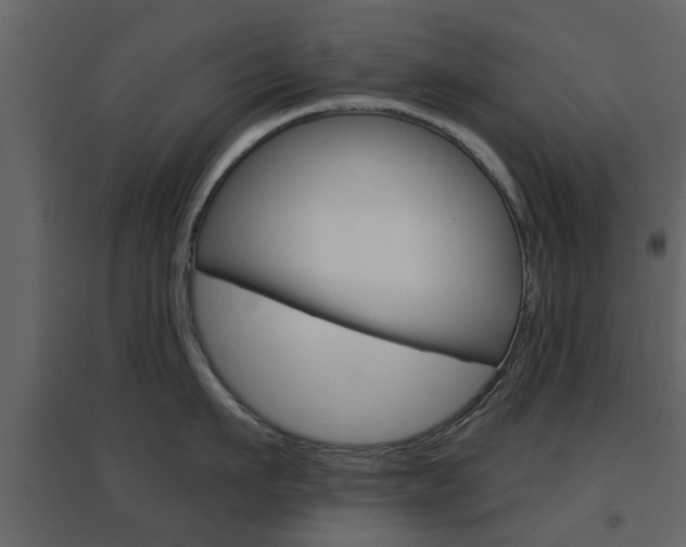 X0000096690911200802051034