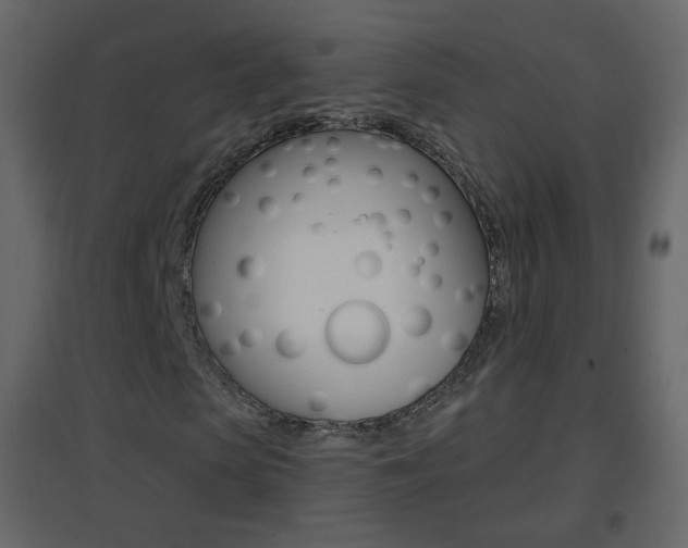 X0000096690913200802051033