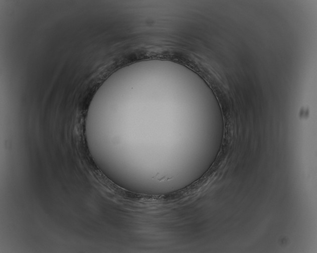 X0000096690914200802051033