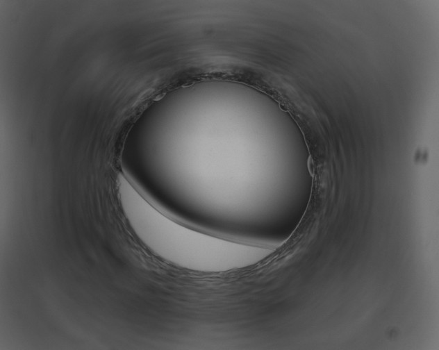 X0000096690916200802051033
