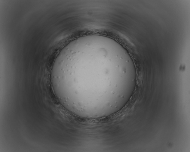 X0000096690917200802051033