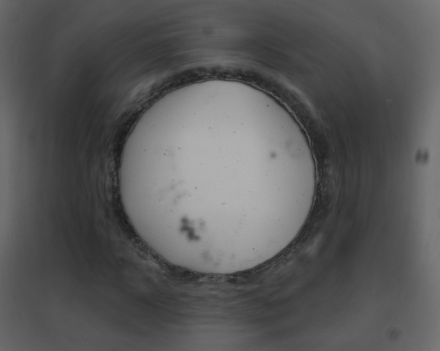 X0000096690918200802051033