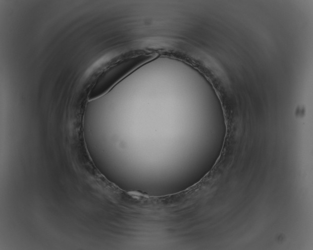 X0000096690920200802051033