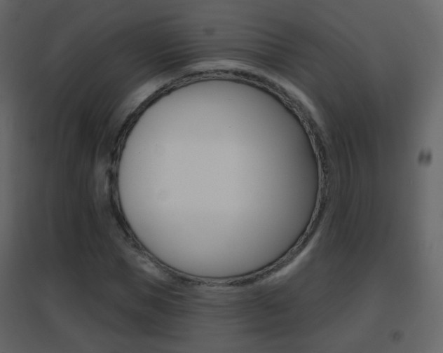 X0000096690921200802051033