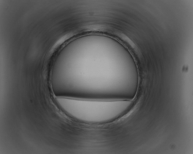 X0000096690922200802051033