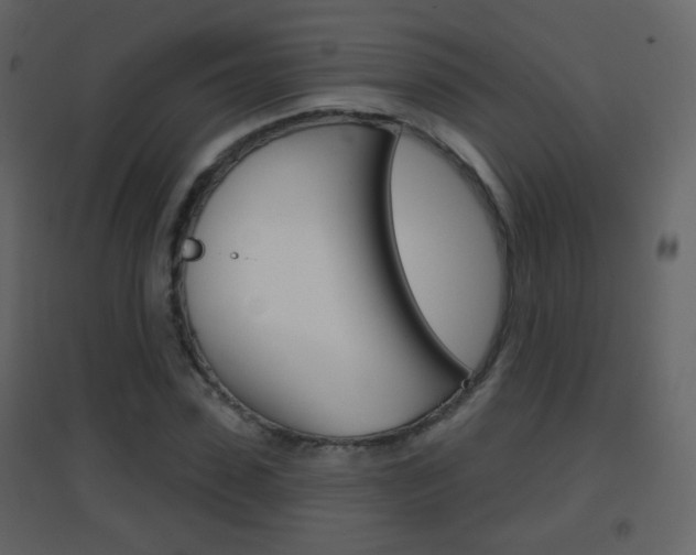 X0000096690923200802051033
