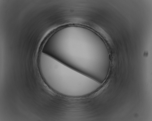 X0000096690924200802051033