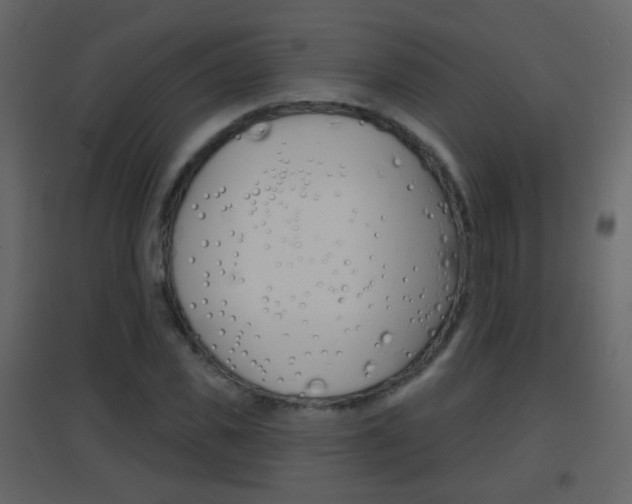 X0000096690925200802051033