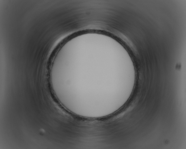 X0000096690926200802051033