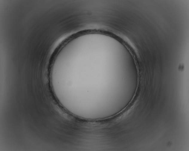 X0000096690927200802051033