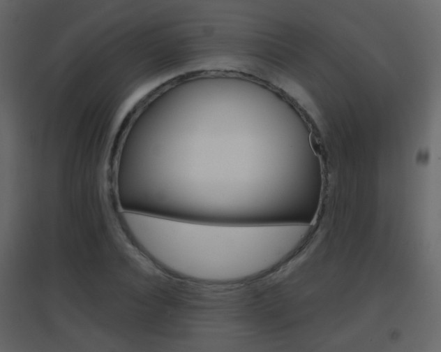 X0000096690928200802051033