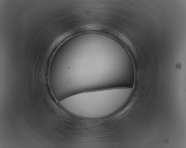 X0000096690930200802051033