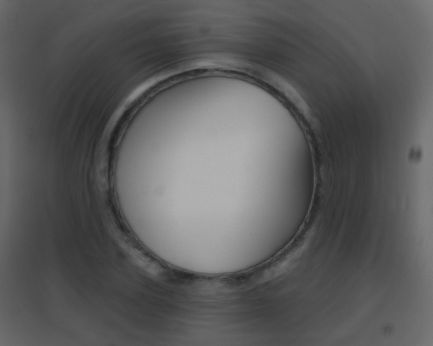X0000096690931200802051033