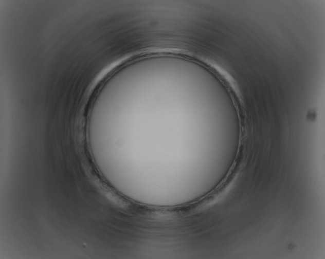 X0000096690933200802051034